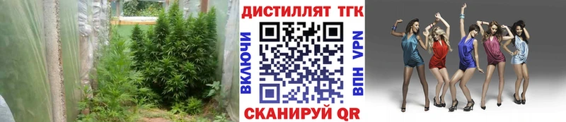 купить наркотик  Фатеж  Дистиллят ТГК жижа 