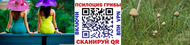 Псилоцибиновые грибы Magic Shrooms  Фатеж 